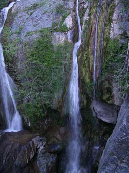 IMGP0034